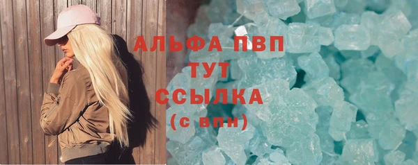 хмурый Абаза