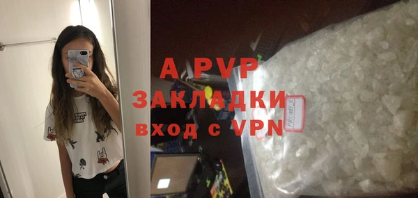 хмурый Абаза
