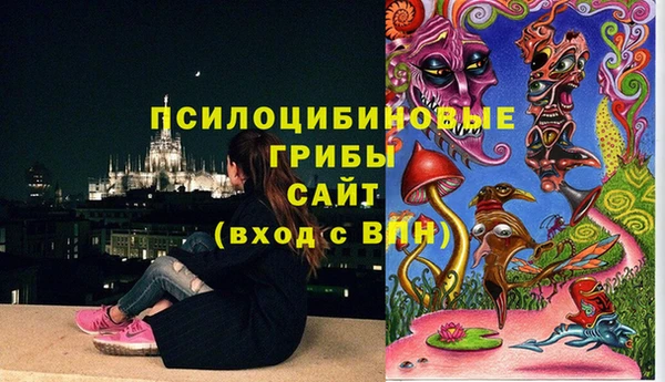 хмурый Абаза