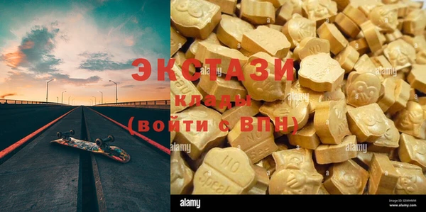 хмурый Абаза