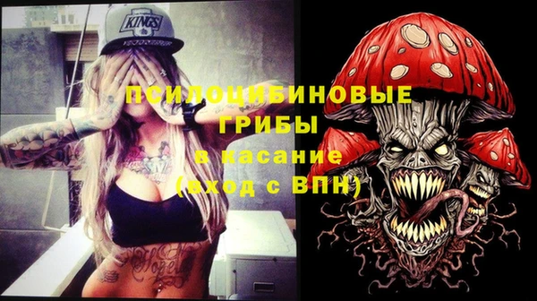 хмурый Абаза