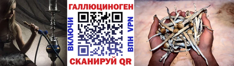 Псилоцибиновые грибы мухоморы  mega маркетплейс  Орск 